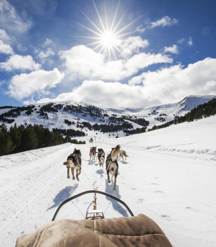 Mushing